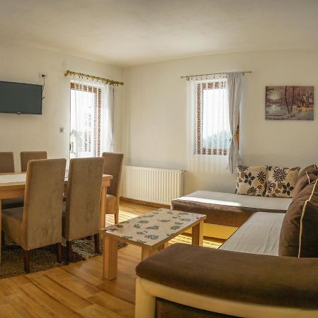 Apartment Petrovic Κοπαόνικ Εξωτερικό φωτογραφία