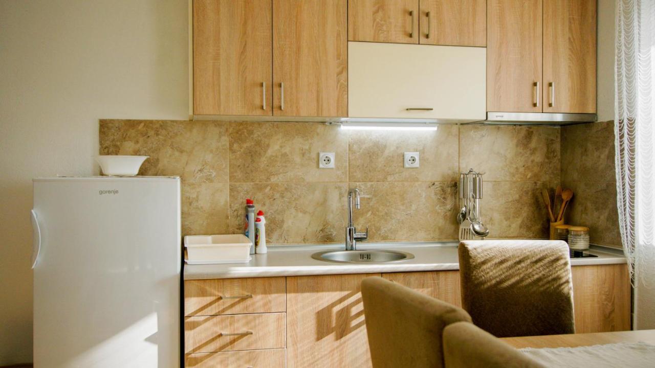 Apartment Petrovic Κοπαόνικ Εξωτερικό φωτογραφία