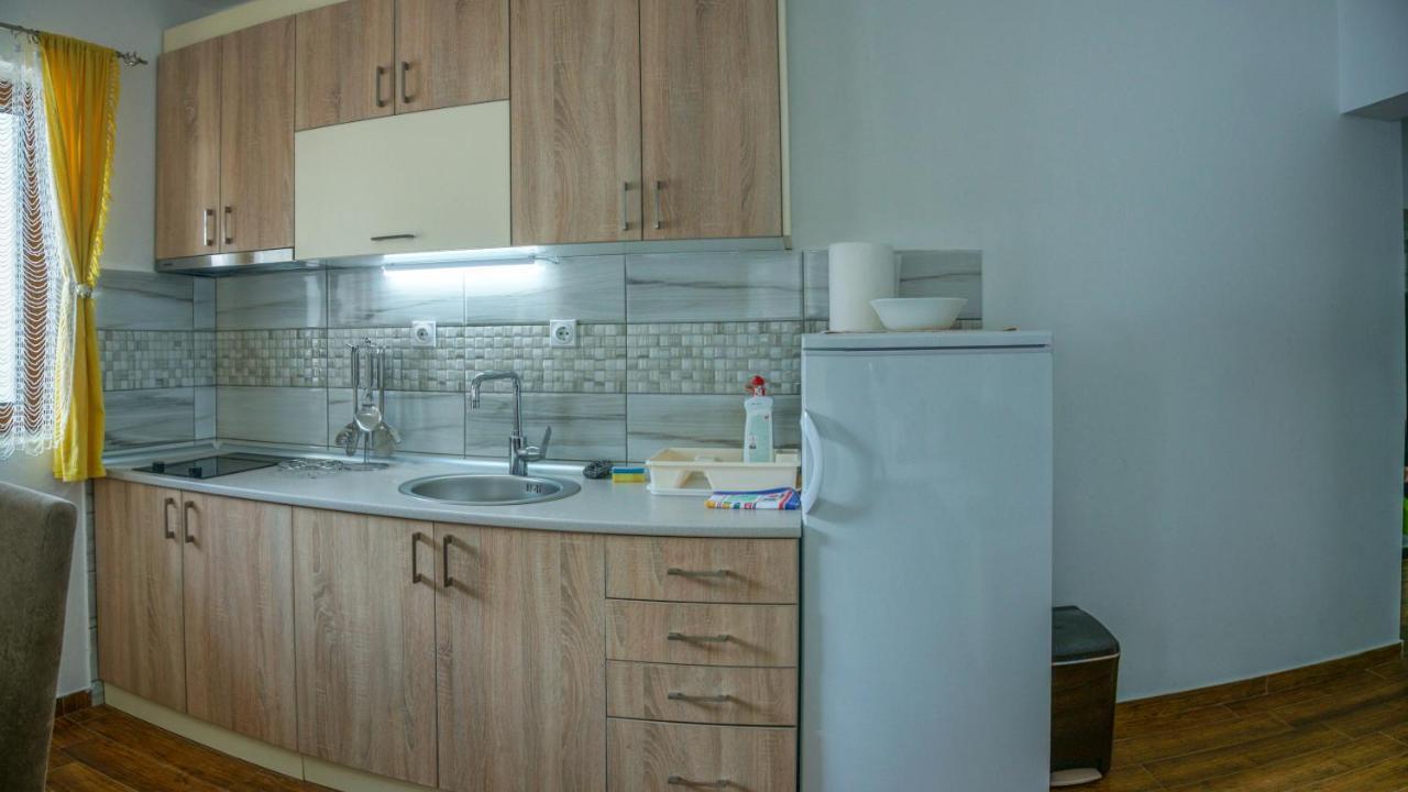 Apartment Petrovic Κοπαόνικ Εξωτερικό φωτογραφία