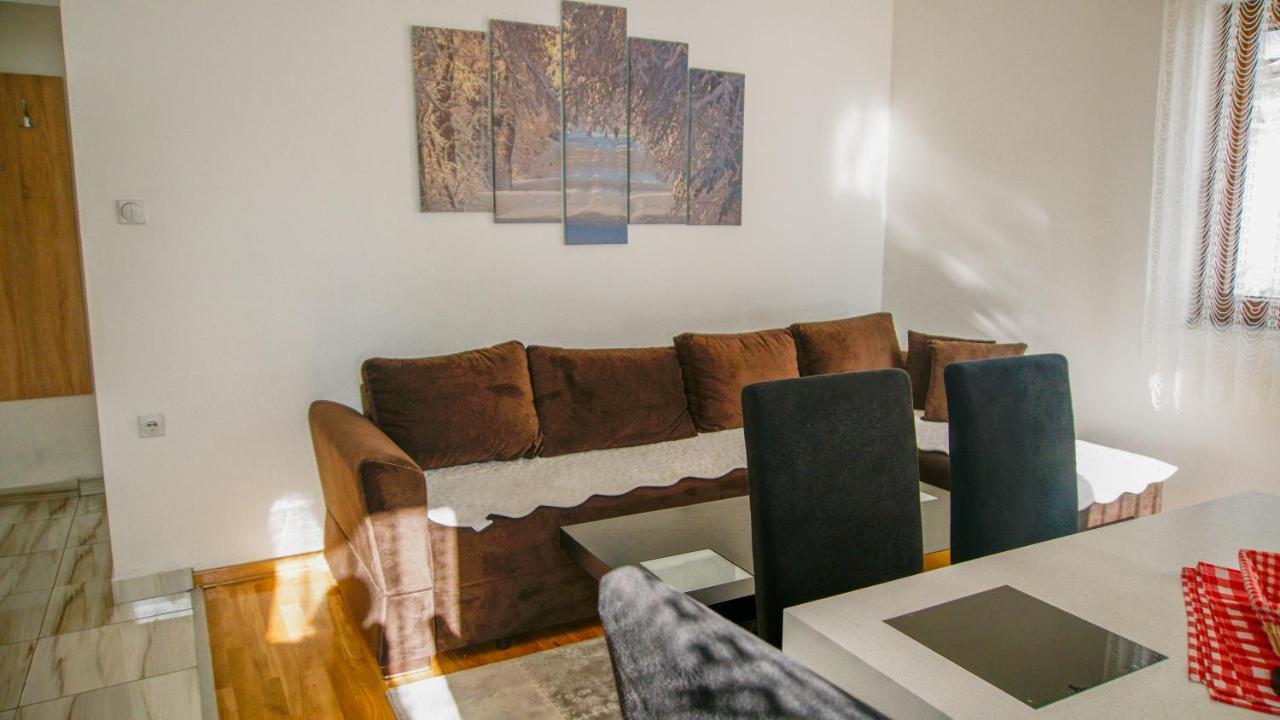 Apartment Petrovic Κοπαόνικ Εξωτερικό φωτογραφία