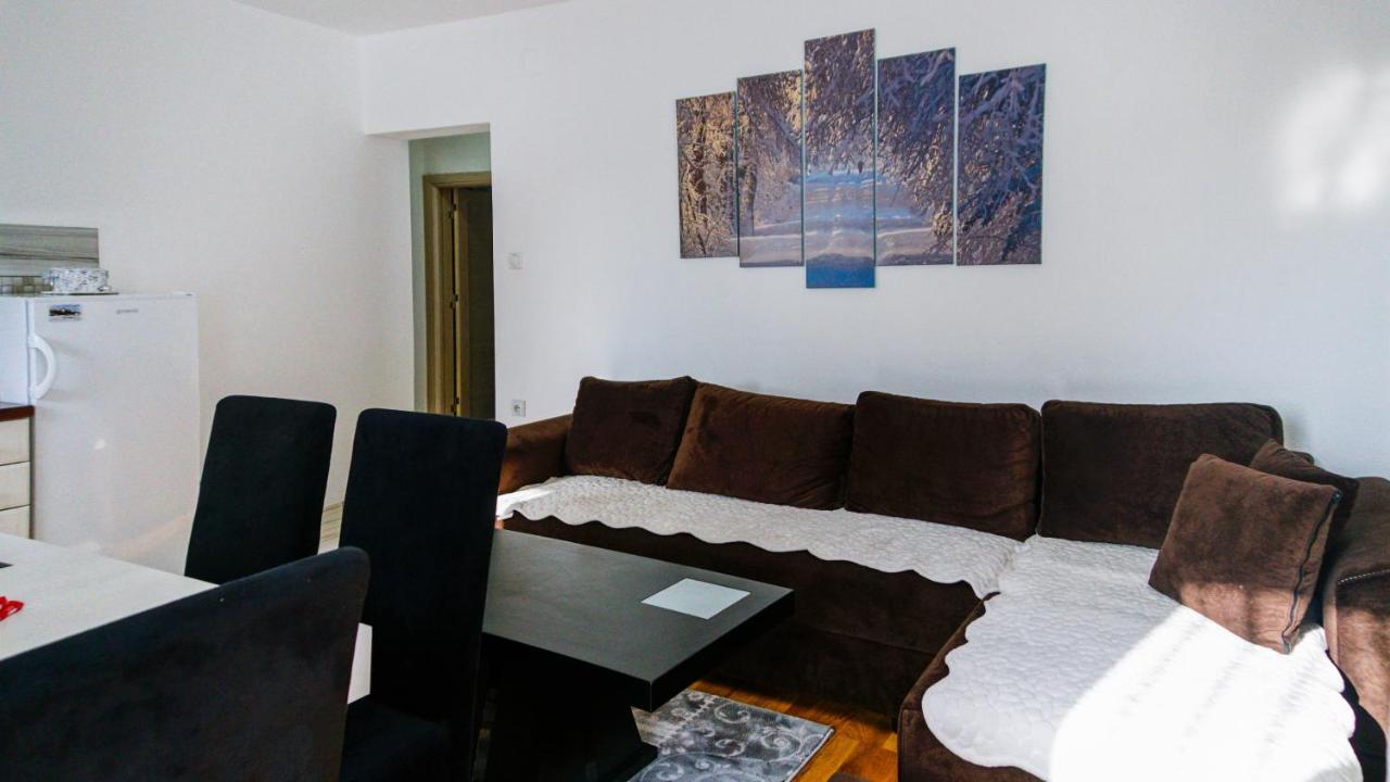Apartment Petrovic Κοπαόνικ Εξωτερικό φωτογραφία